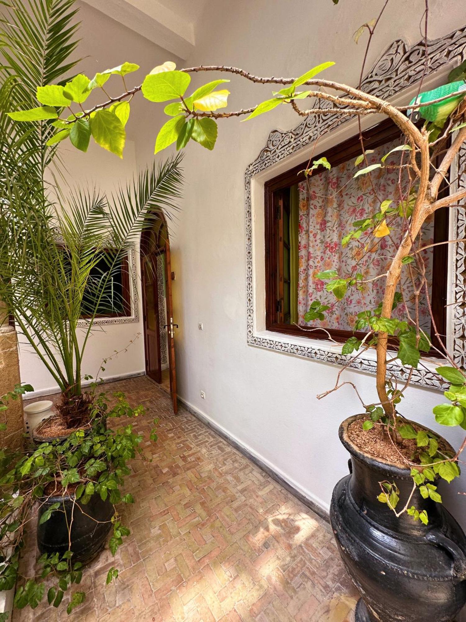 Les Terrasses D'essaouira - Yoga Bed and breakfast
